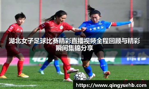 万向娱乐登录