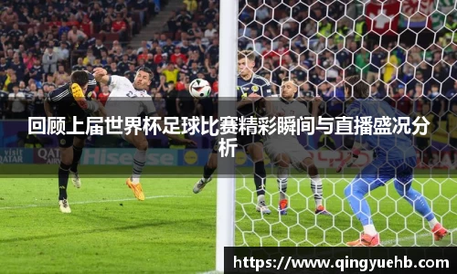 万向娱乐