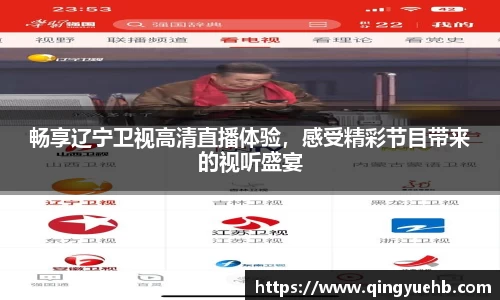 畅享辽宁卫视高清直播体验，感受精彩节目带来的视听盛宴